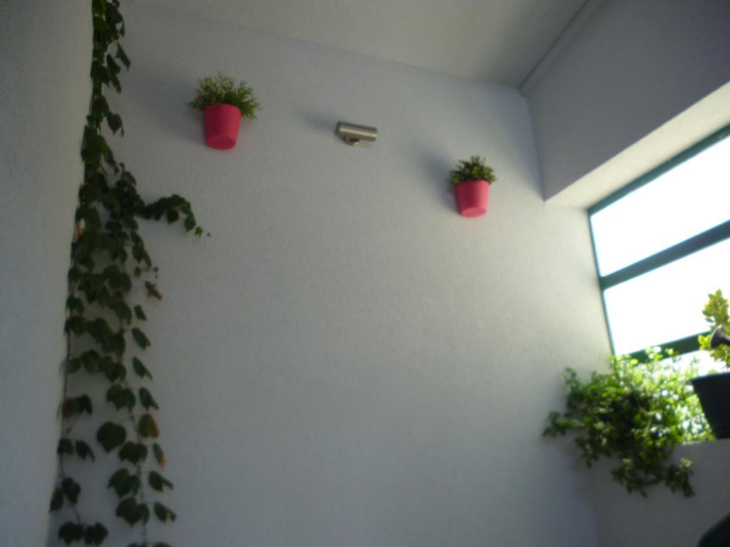 Apartment Duje ماكارسكا المظهر الخارجي الصورة
